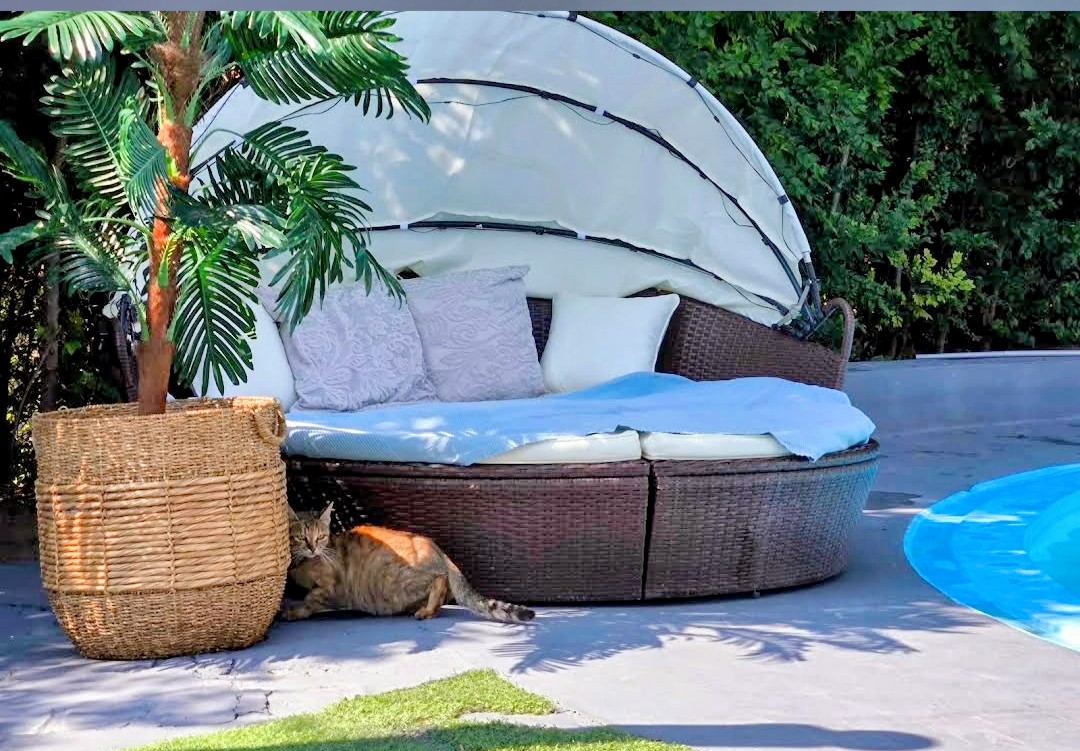 Sonneninsel am Pool